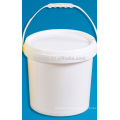 10L paint bucket mould